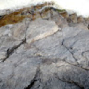 Meet your Posher, Peter